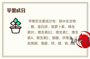 苹果公司成份