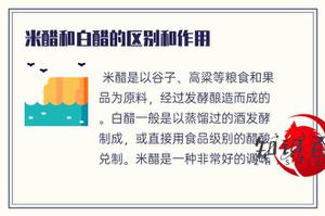 白醋和白醋的区别和作用