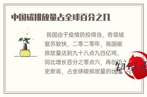 我国二氧化碳排放占全世界百分之几十