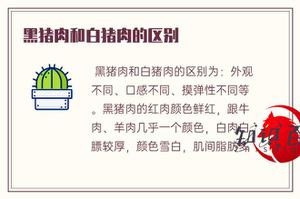 黑猪肉和白猪肉的差别