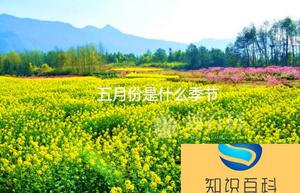 五月份是什么季节 五月份属于哪个季节