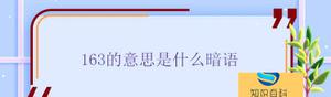 163网络用语的意思是什么 163是什么暗语