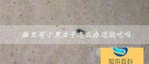 面里有小黑虫子怎么办还能吃吗