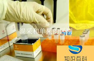 混采和单采的区别 核酸检测中混采和单采有什么区别