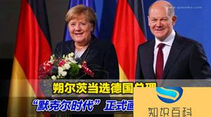为什么德国总理比总统的权力大，总统平时都做什么