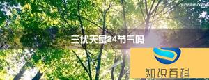 三伏天是24节气吗 三伏天属于二十四节气里面吗