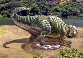 恐龙时代食草恐龙有哪些（侏罗纪世界食草恐龙介绍）