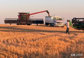 英国小麦产量是多少斤一亩？跟中国比生产水平有多大差距？