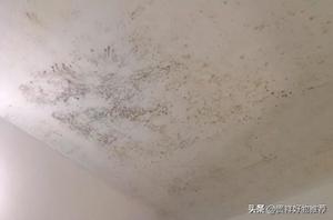 顶层天花板发霉是什么原因引起的 家里潮湿发霉怎么办