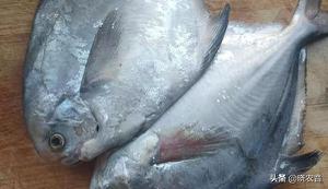 今年深海金鲳鱼的价格是多少（金鲳鱼多少钱一斤市场价2022）