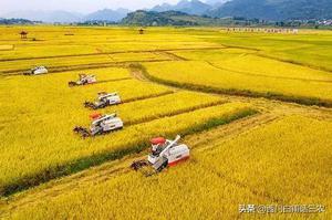 我国的战略储备粮够全国人民吃几年（如果只是食用可维持一年时间）