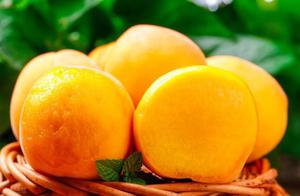 目前全国最好的桃品种是什么（盘点国内十大优质桃子品种）