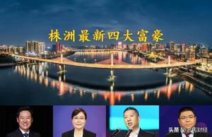 最新湖南株洲富豪榜，金东投资集团董事吴向东在首位