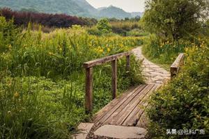 全国各地最佳旅游季节时间表(中国气候一年旅游时间表)