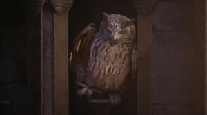 《霍格沃茨之遗》新预告发布 猫头鹰视角鸟瞰城堡场地