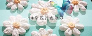 18岁是什么年华