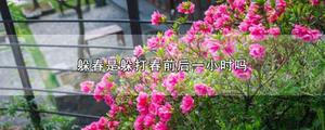 躲春是躲打春前后一小时吗
