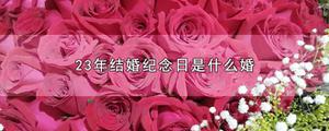 23年结婚纪念日是什么婚