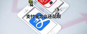 支付宝怎么还花呗