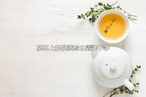 茶杯上的茶渍怎么清洗干净 茶杯过滤网上的茶渍怎么清洗