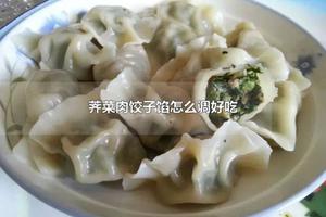 荠菜肉饺子馅怎么调好吃 饺子馅料有哪些