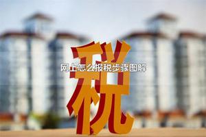 网上怎么报税步骤图解 自己网上报税怎么报