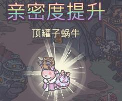 最强蜗牛顶罐子蜗牛回信选什么