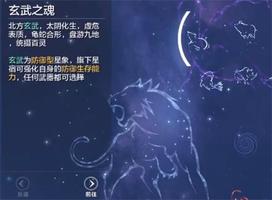 妄想山海玄武星宿怎么加点