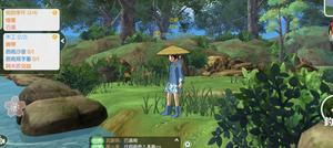 小森生活月影密林下雨时间规律一览